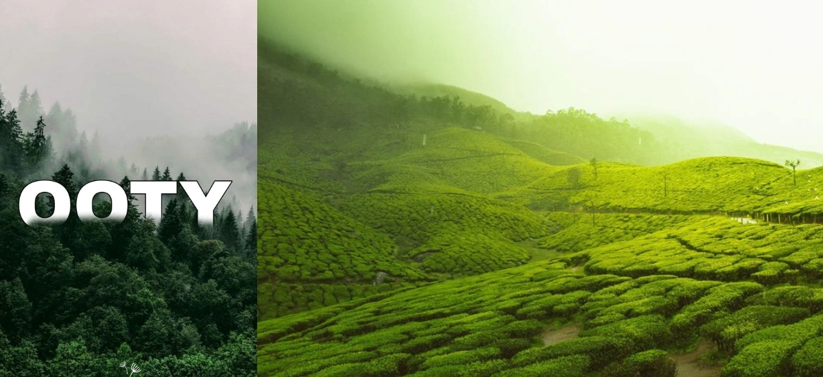 2 Day Trip to Ooty and Coonoor